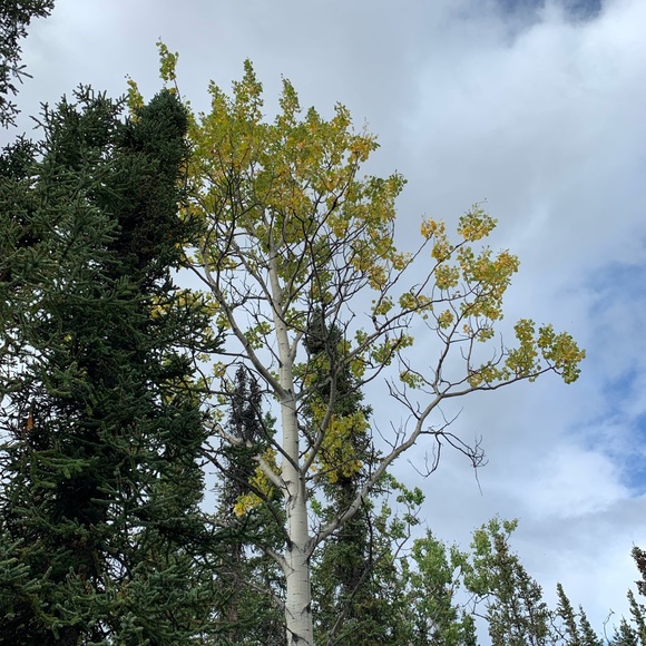 Meet your Posher, Shayne - Picture 9 of 10